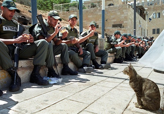 Koky asistují izraelským vojákm v ulicích Jeruzaléma i pi obd.