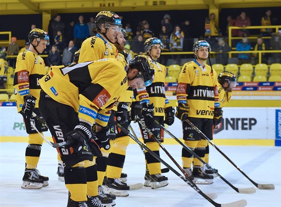 Hokejisté Litvínova smutní po jedné z mnoha poráek v této sezon.