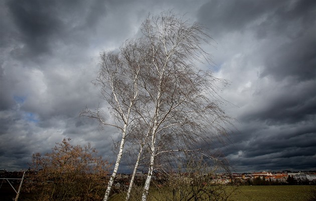 Česko zasáhne silný vítr, meteorologové varují před problémy v dopravě