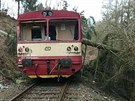 Osobn� vlak narazil na Karlovarsku do spadl�ho stromu le��c�ho p�es koleje (3....
