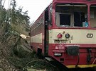 Osobn� vlak narazil na Karlovarsku do spadl�ho stromu le��c�ho p�es koleje (3....