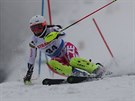 eská reprezentantka Gabriela Capová ve slalomu ve pindlerov Mlýn.