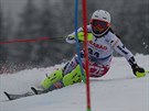 eská reprezentantka Gabriela Capová v 1. kole slalomu ve pindlerov Mlýn.