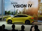 koda Vision iV