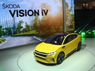 koda Vision iV