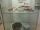 Jednokorunov a dvoukorunov mince z povlench let vystaven v pokladn...