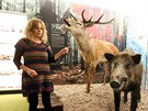Muzejn� zoolo�ka Kl�ra Bezd��kov� u vycpanin jelena a kance.