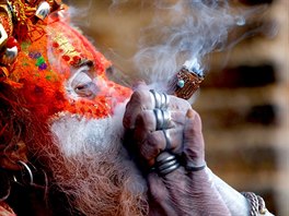 SVATÝ MU. Hinduistický svatý mu, tzv. Sádhu, kouí marihuanu bhem festivalu...