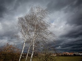 Ilustra�ní snímek