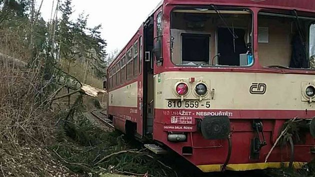 Osobn vlak narazil na Karlovarsku do spadlho stromu lecho pes koleje (3. bezna 2019).