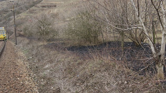 Shořelá tráva po pádu sloupu vedení vysokého napětí u Velkých Žernosek na Litoměřicku (4. března 2019)