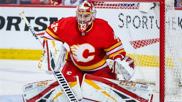 Brank David Rittich z Calgary v zpase s Torontem.