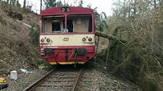 Osobní vlak narazil na Karlovarsku do spadlého stromu ležícího přes koleje (3....