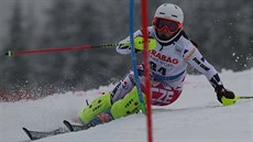 Mezinárodní lyžařská federace (FIS) - iDNES.cz
