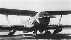 Polikarpov I-153 s pídavnými náporovými motory DM-2