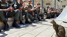 Koky asistují izraelským vojákm v ulicích Jeruzaléma i pi obd.