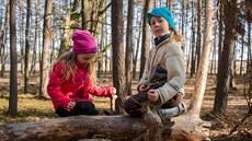 Děti v lesní školce tráví mnohem víc času venku. Učitelky jsou jim průvodci, respektují jejich názor.