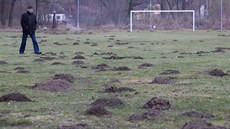 Na začátku března pokryly trávník stovky krtinců