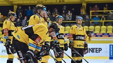 Hokejisté Litvínova smutní po jedné z mnoha porážek v této sezoně.