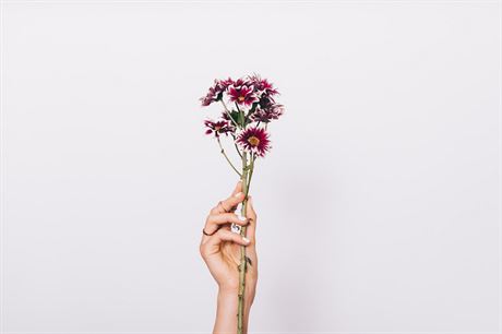 #FlowerPower: Kvtiny podle znamení, které vám pinesou tstí
