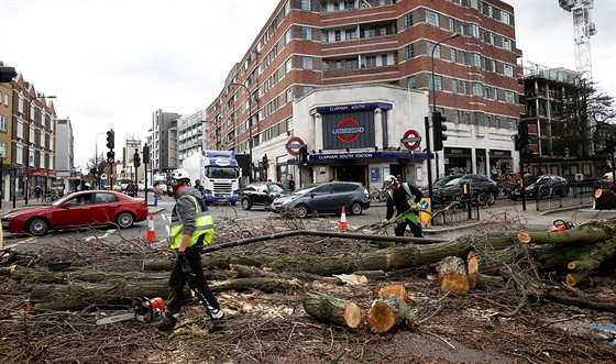 Stromy spadlé v dsledku silného vtru komplikovaly dopravu také v Londýn (10....