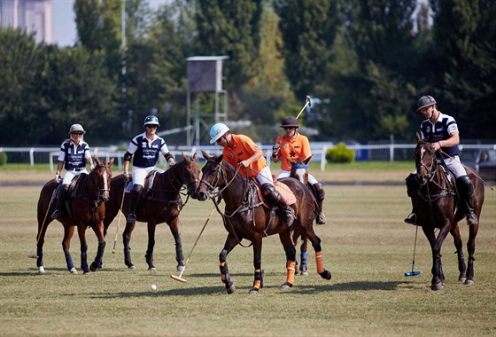 Hra král  koské polo v Chuchli