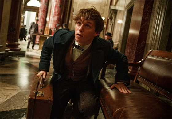 Fantastic Beasts potvrzují dalí postavu ze svta Harryho Pottera!