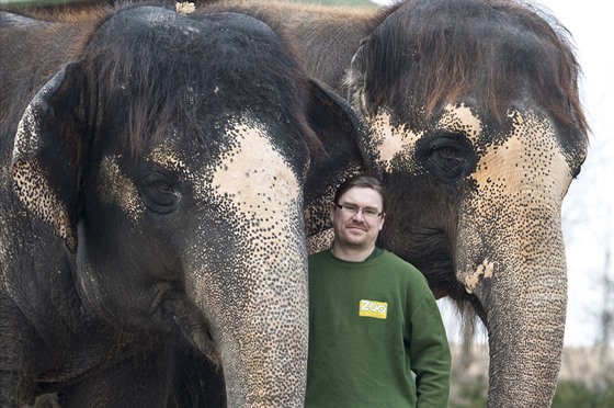 Ošetřovatel Petr Kiebel se slonicemi Dehli a Kalou ve výběhu ústecké zoo v...