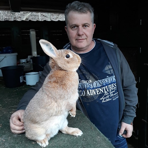 Králík Martina Záhrubského z Dubí na Teplicku zabodoval v konkurenci jedenácti...