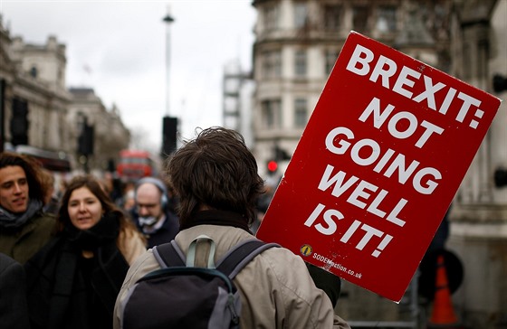 Demonstrace odprc brexitu v Londýn (14. bezna 2019)