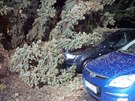 Stromy popadané kvli silnému vtru pokodily automobily v Chebu. (10. bezna...