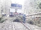 Osobní vlak najel dnes dopoledne na trase Plze - Albtín do spadlého stromu....