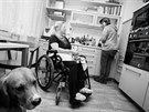 Organizace Fosa o.p.s. se zabývá pomocí handicapovaným a znevýhodněným lidem