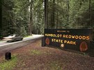 Jedním z mála turistických míst v okrese je Státní park Humboldt Redwoods s...