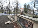Silný vítr vyvrátil mnohaletý buk v Zámeckém parku v Teplicích.