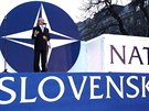 Slovenský premiér Mikulá Dzurinda pi oslavách vstupu Slovenska do NATO v...