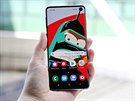 Tapety pro Samsung Galaxy S10, vtipn schovávající prstel displeje