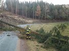 V noci na pondlí hasii kvli vtru zasahovali u 252 událostí. Vtinou to...