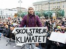 estnáctiletá Greta Thurnbergová na protestech v Nmecku (1. bezna 2019)