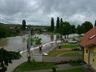 Rozvodnná eka Olava v Kunovicích v ervnu 2010.