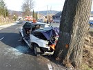 Při tragické nehodě na okraji Jeseníku narazil vůz se třemi lidmi do stromu,...