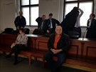 Krajský soud v Plzni vynesl rozsudek nad esticí lidí, kteí padlali obrazy a...
