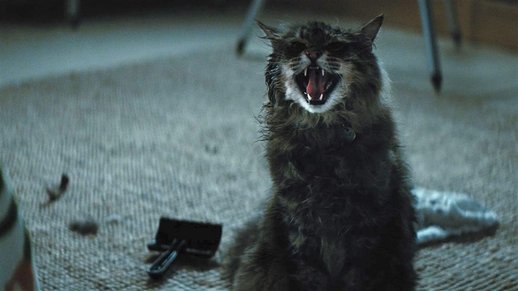 Stephen King je pořád král, jeho horor Řbitov zviřátek vládl kinům