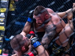 MMA zpasnk Karlos Vmola to na Pawla Brandyse z Polska.
