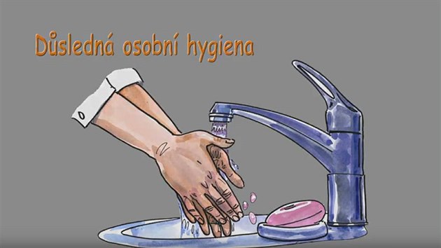 Mezi jednotlivmi operacemi v kuchyni si myjte ruce.