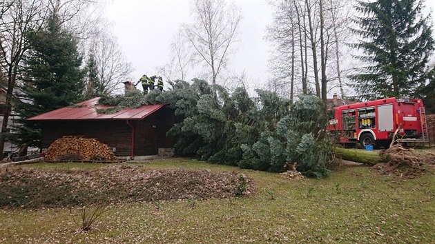 Jihoet hasii v pondl odstraovali vzrostl strom, kter spadl na chatku v...
