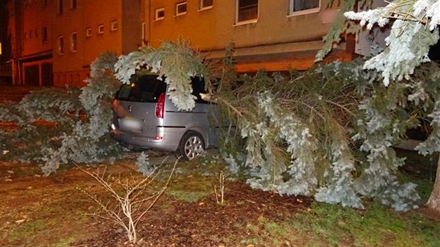 Na peugeot zaparkovan v brnnskch Medlnkch spadl v dsledku vichice jehlinat strom.