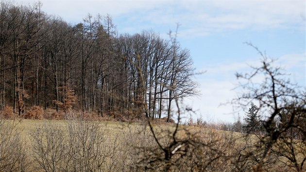 Obyvatel obce Nelepe-ernvka se obvaj, e z pastvin, kde chce Jn Ktnk dajn chovat zv, budou stavebn parcely.