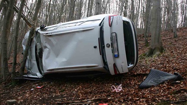 Mu zapomnl na lesn cest zajistit svou kodu proti pohybu, auto se tak ztilo ze srzu a zastavilo a o strom.