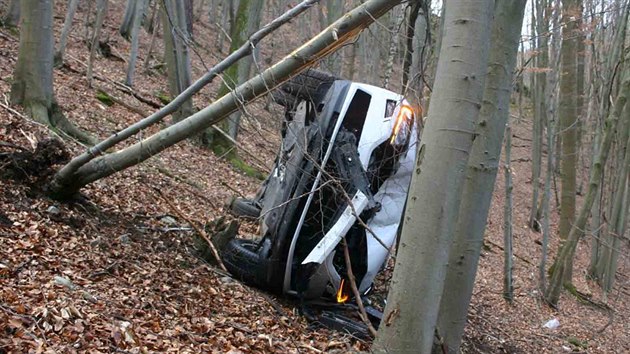 Mu zapomnl na lesn cest zajistit svou kodu proti pohybu, auto se tak ztilo ze srzu a zastavilo a o strom.